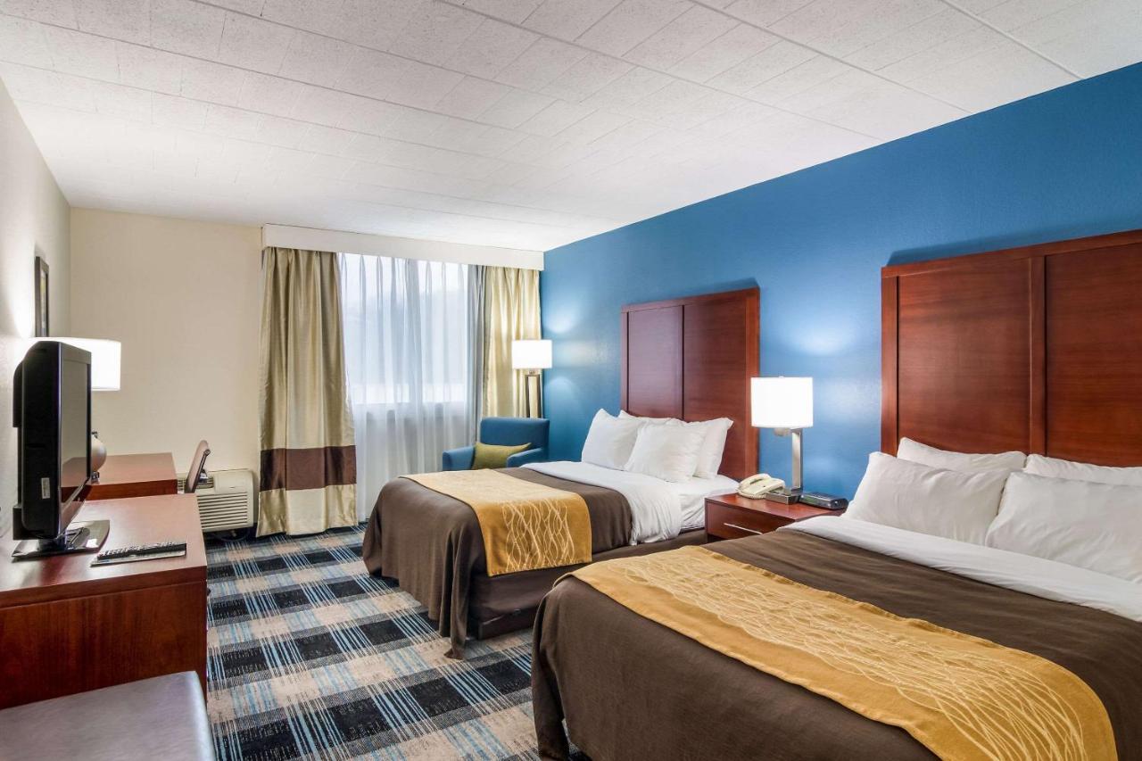 Comfort Inn & Suites Montrose Hill Zewnętrze zdjęcie