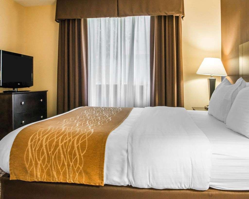 Comfort Inn & Suites Montrose Hill Pokój zdjęcie